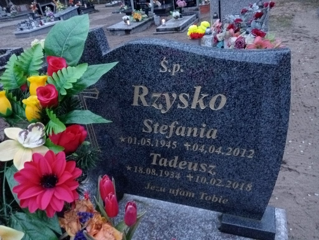 Stefania Rzysko 1945 Czarnków - Grobonet - Wyszukiwarka osób pochowanych